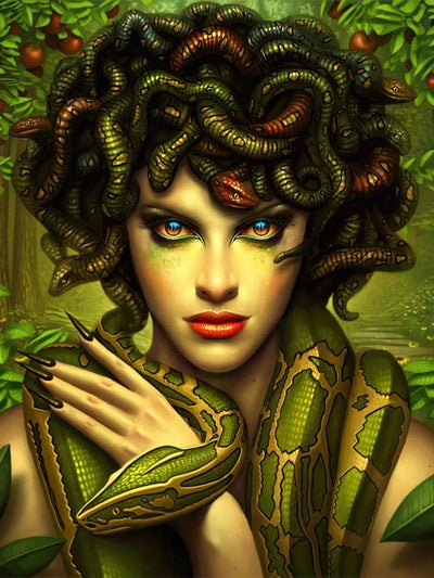 Medusa Poster | Snakes Jewelry & Fashion