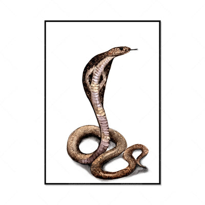 Cobra Snake Poster | Snakes Jewelry & Fashion