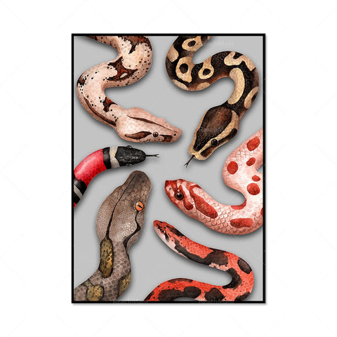 Snakes Art Poster | Snakes Jewelry & Fashion