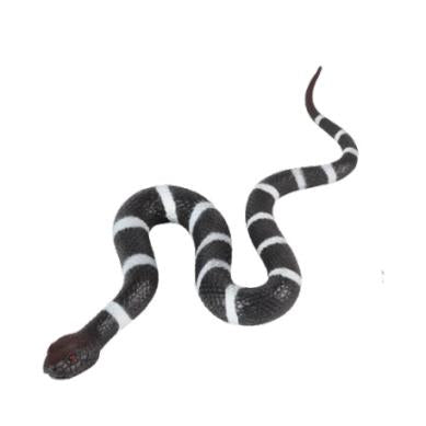 Realistic Snake Toy | Snakes Jewelry & Fashion