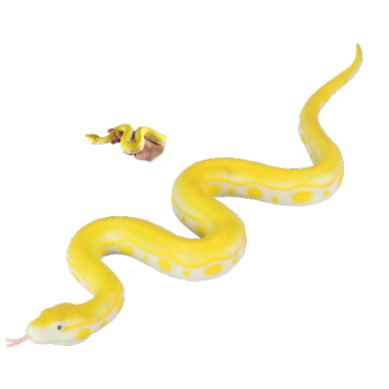 Yellow Snake Toy | Snakes Jewelry & Fashion