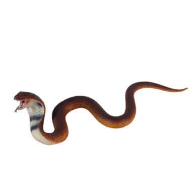 Cobra Snake Toy | Snakes Jewelry & Fashion