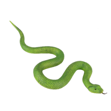 Green Snake Toy | Snakes Jewelry & Fashion