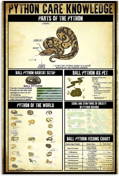 Snake Safety Poster | Snakes Jewelry & Fashion